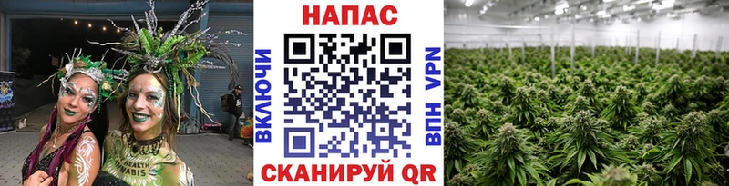 Где купить Мещовск Бутират ГАШ