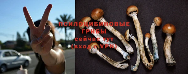 не бодяженный Армянск
