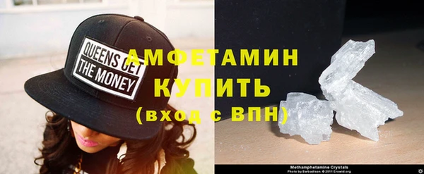 шишки Арсеньев
