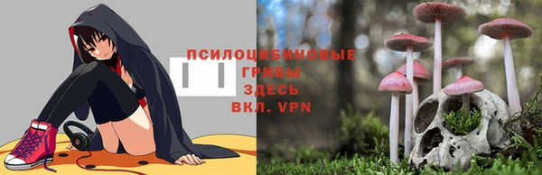 шишки Арсеньев