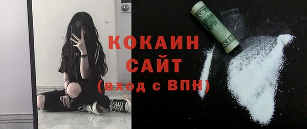 шишки Арсеньев