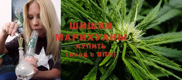 шишки Арсеньев