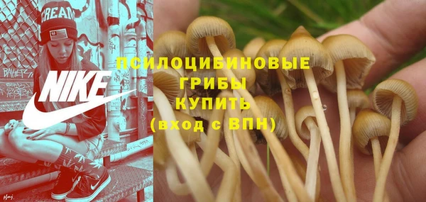 не бодяженный Армянск