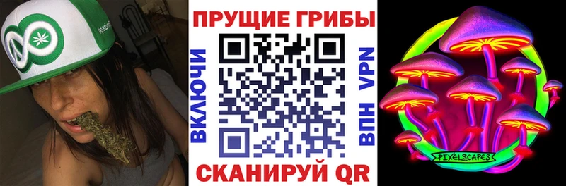 Псилоцибиновые грибы Psilocybe  где купить наркотик  Мещовск 